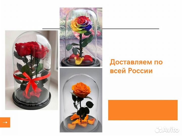 Роза в колбе. С гарантией