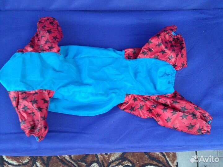 Одежда для таксы