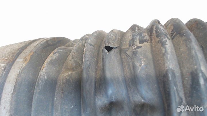 Амортизатор подвески Volkswagen Touareg, 2006