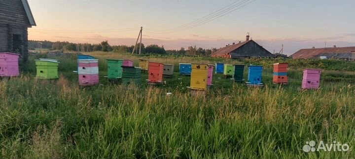 Продам улья