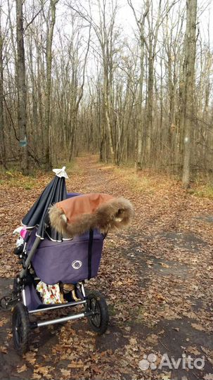 Коляска bugaboo с капорами и т д