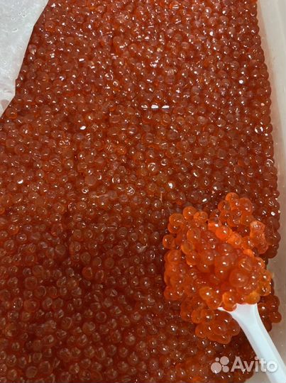 Икра Красная 2023