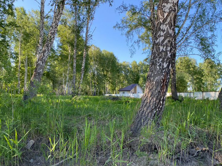 Участок 10 сот. (СНТ, ДНП)