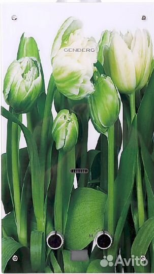 Водонагреватель газовый Genberg декор-Eco 20 кВт