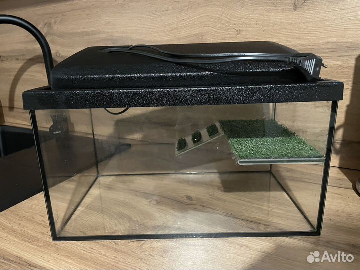 Аквариум для красноухой черепахи