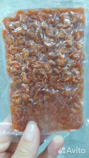 Живой замороженный корм для аквариумных рыб