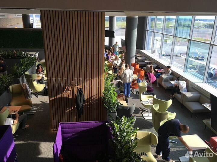 Проход в любой бизнес зал снг