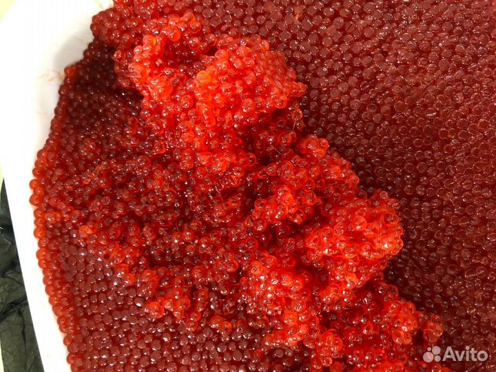 Красная икра Путины 2023 оптом