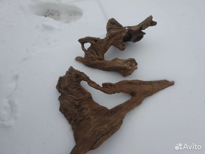Все для аквариума коряги