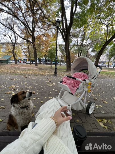 Коляска 2 в 1 adamex luciano белая