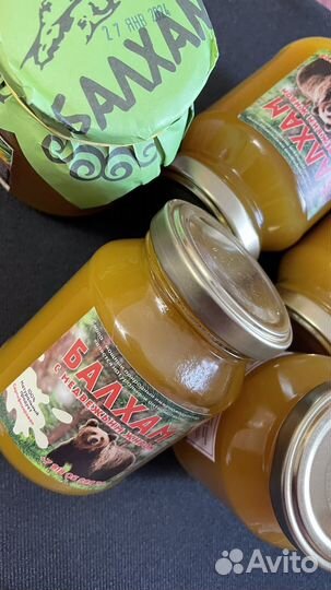 Балхам от кашля бронхита пневмании хобл и т.д