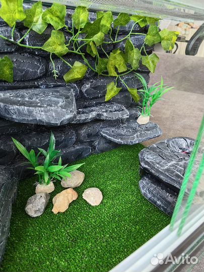 Новый Террариум