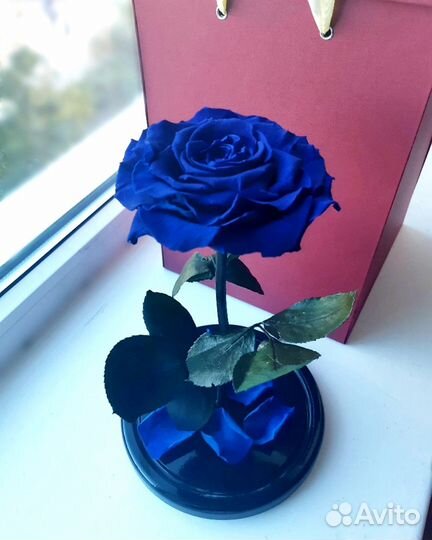 Роза в колбе. Большой выбор