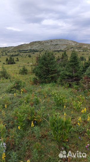 Поход по Национальным паркам