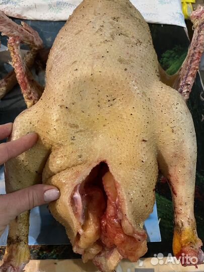 Тушки гусей