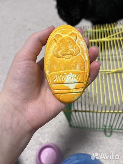 Принадлежности для хомяка