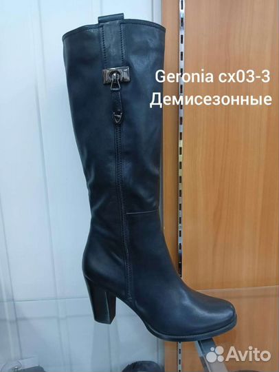 Сапоги осень