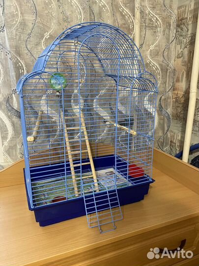 Клетка большая