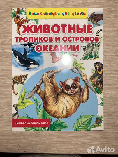 Детские энциклопедии