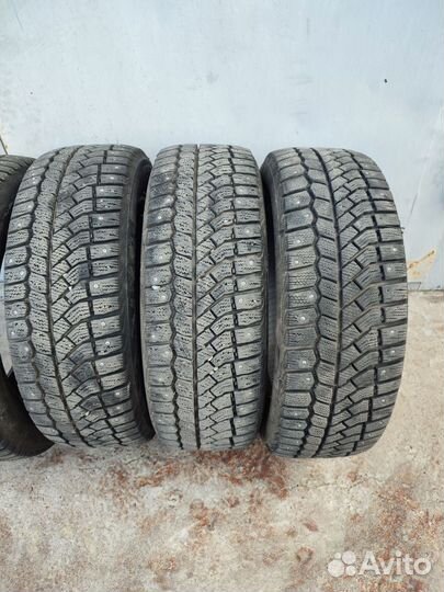 Viatti Bosco Nordico V-523 205/55 R16