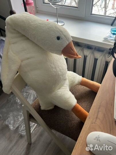 Гусь обнимусь