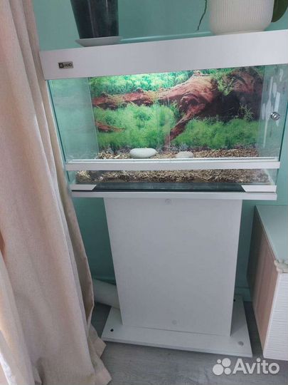 Террариум для сухопутной черепахи