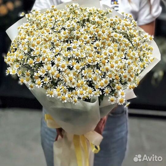 101 Роза цветы букеты доставка 21 51 пион 24/7