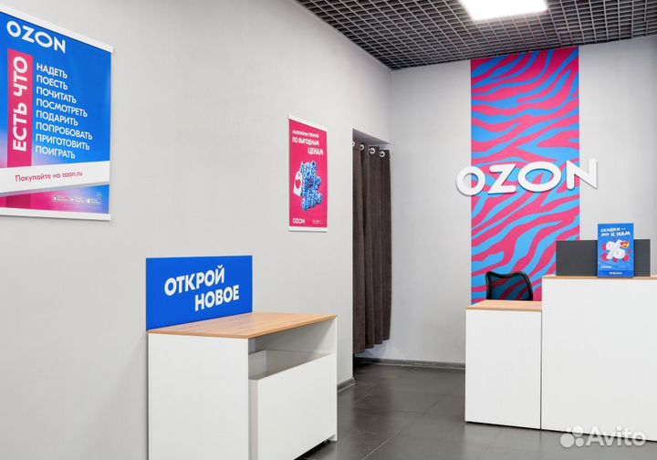 5 Пунктов выдачи. Озон и WB