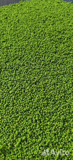 Пеллетс 2мм