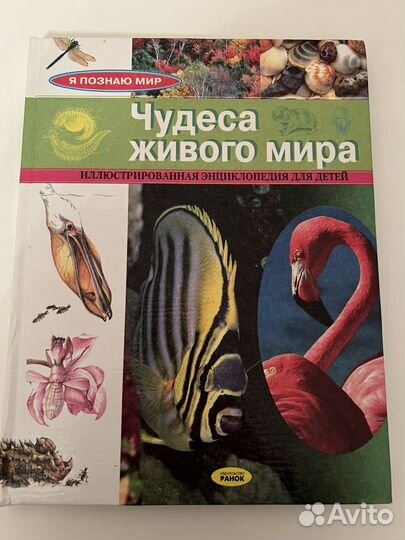 Энциклопедия про животных