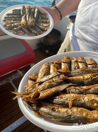 Рыбалка, снасти на борту