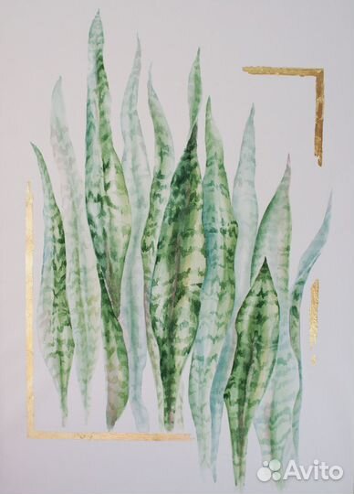 Сансевиерия. Акварельная интерьерная картина