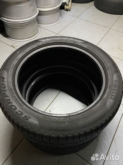 Pirelli Scorpion Winter 255/50 R20 109V