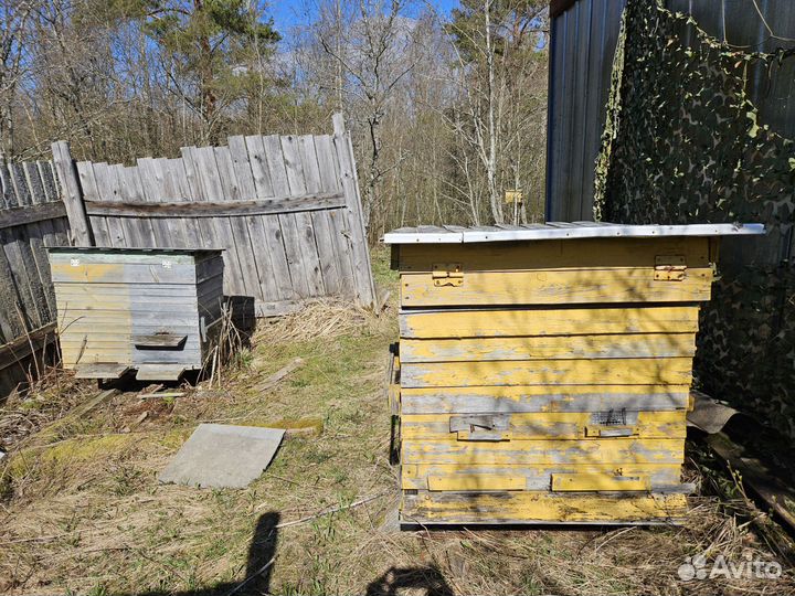 Продам ульи для пчёл