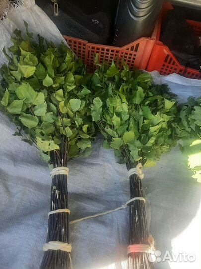 Веники дубовые,березовые