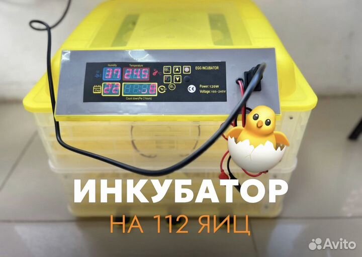 Инкубатор для куриных яиц