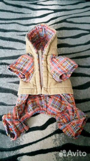 Одежда для собак