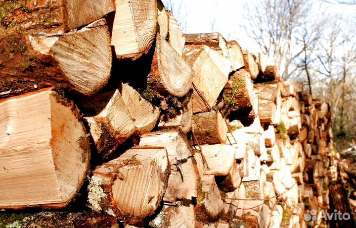 Дрова осина рубленные