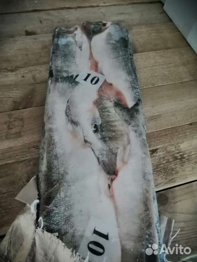 Рыба (красная) лососёвых пород 1 сорт