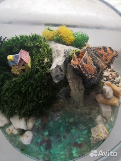 Аквариум декоративный