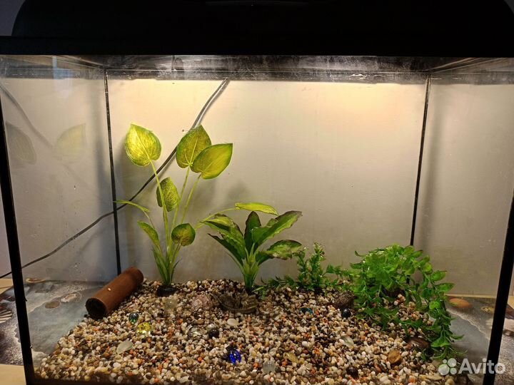 Аквариум