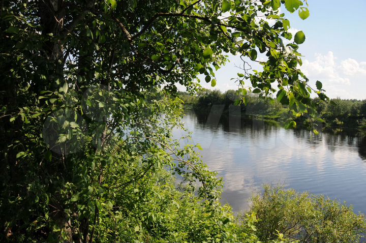 Участок 4,9 га (СНТ, ДНП)