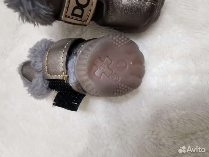 Обувь для маленьких собак