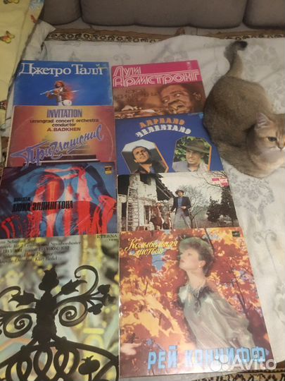 Виниловые пластинки 30штук