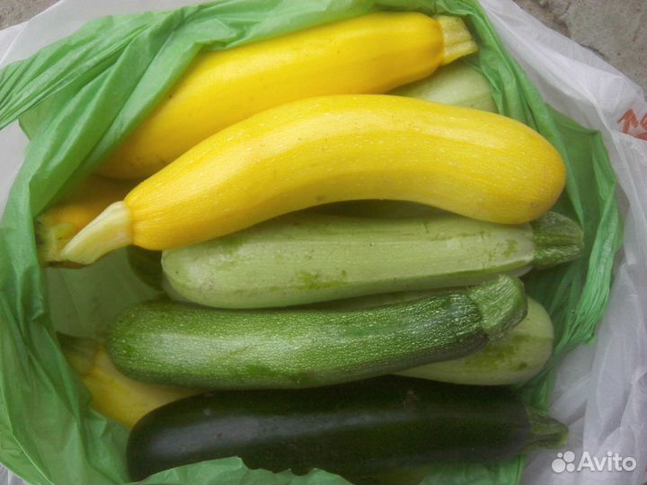 Картофель домашний