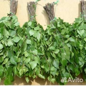 Березовые веники оптом