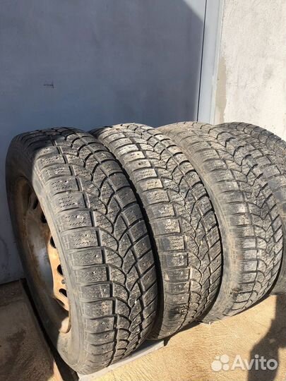Tigar Sigura Stud 195/65 R15