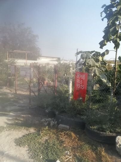 Участок 8 сот. (СНТ, ДНП)