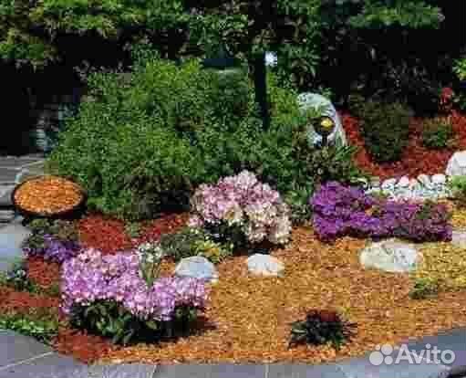 Кора лиственницы