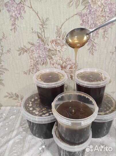 Свежий мед 2023